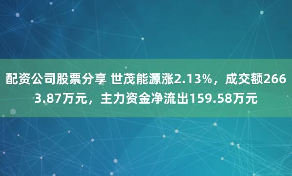配资公司股票分享 世茂能源涨2.13%，成交额2663.87万元，主力资金净流出159.58万元